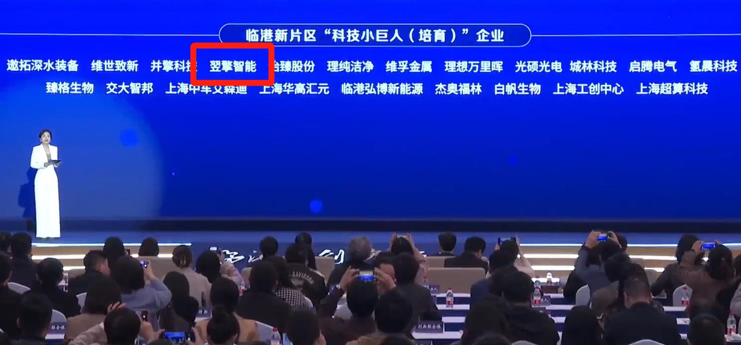 临港0.jpg